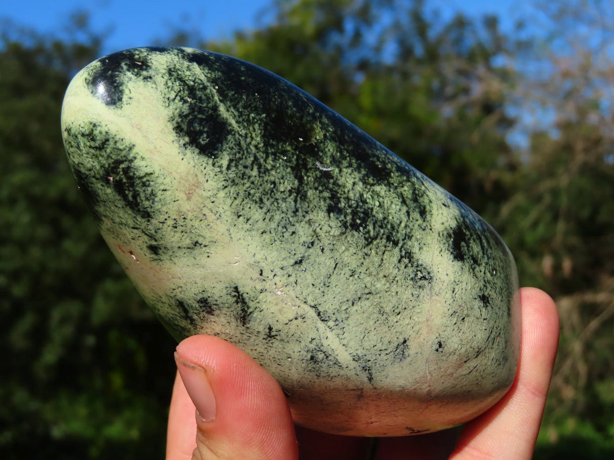 Polished Leopard Stone Free Forms x 4 From Zimbabwe - TopRock