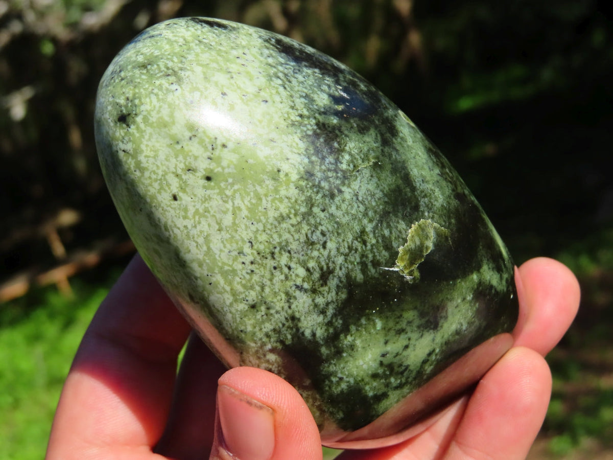 Polished Leopard Stone Free Forms x 4 From Zimbabwe - TopRock