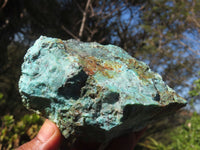Natural Rough Chrysocolla Specimens  x 12 From Old Blue Mine, South Africa - Toprock Gemstones and Minerals