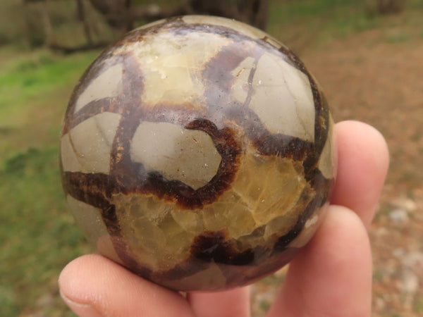 Polished Lovely Septerye (Calcite & Aragonite) Spheres  x 4 From Mahajanga, Madagascar - TopRock