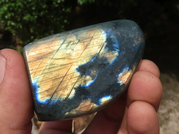 Polished Flashy Labradorite Standing Free Forms  x 6 From Tulear, Madagascar - TopRock
