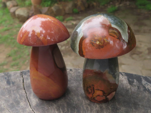 Polished Polychrome / Picasso Jasper Mushrooms x 6 From Madagascar - TopRock