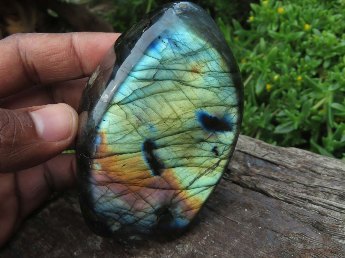 Polished Mixed Free Forms & Crystals x 12 From Madagascar - TopRock