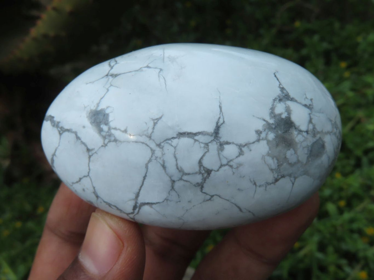 Polished Mixed Free Forms & Crystals x 12 From Madagascar - TopRock