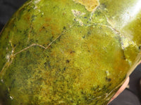 Polished  Green Opal Standing Free Form  x 1 From Antsirabe, Madagascar - Toprock Gemstones and Minerals