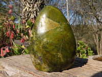 Polished  Green Opal Standing Free Form  x 1 From Antsirabe, Madagascar - Toprock Gemstones and Minerals