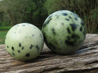 Polished Leopard Stone (Spotted Serpentine) Spheres x 2 From Zimbabwe - TopRock