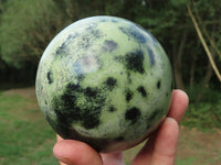 Polished Leopard Stone (Spotted Serpentine) Spheres x 2 From Zimbabwe - TopRock