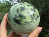 Polished Leopard Stone (Spotted Serpentine) Spheres x 2 From Zimbabwe - TopRock