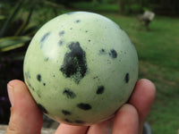 Polished Leopard Stone (Spotted Serpentine) Spheres x 2 From Zimbabwe - TopRock