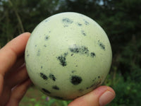 Polished Leopard Stone (Spotted Serpentine) Spheres x 2 From Zimbabwe - TopRock