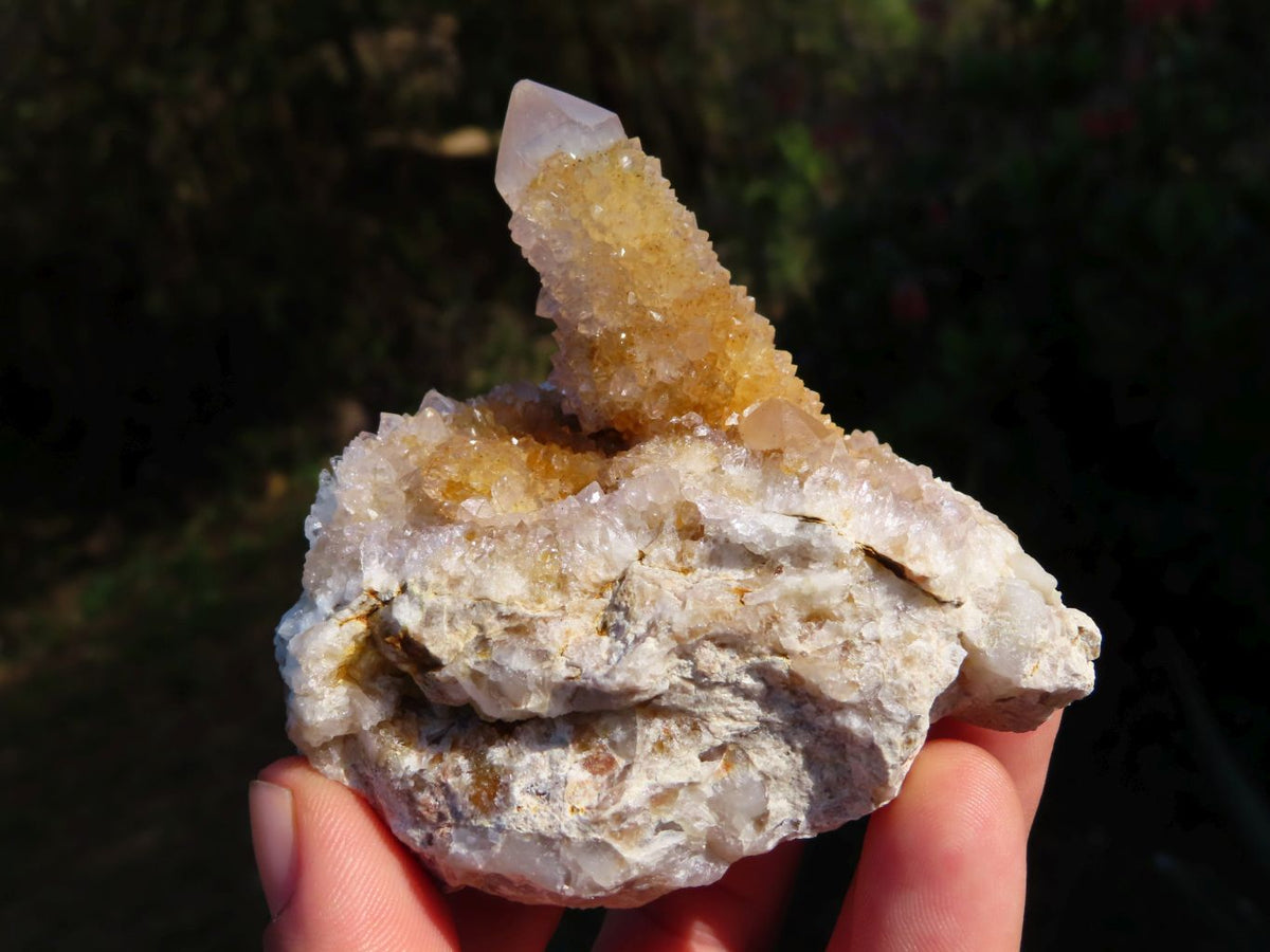 Natural Spirit Quartz Crystal Clusters x 6 From Boekenhouthoek, South Africa - TopRock