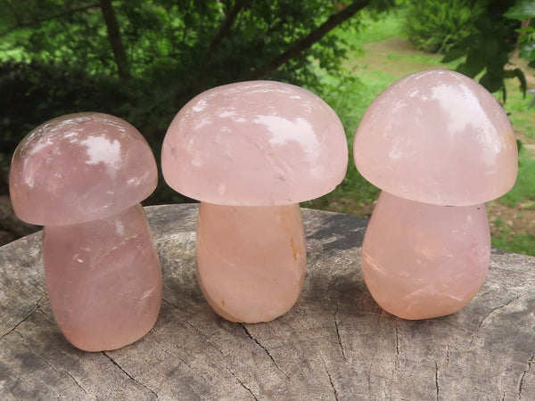 Polished Gemmy Pink Rose Quartz Mushrooms With Asterisms In Some  x 12 From Madagascar - TopRock