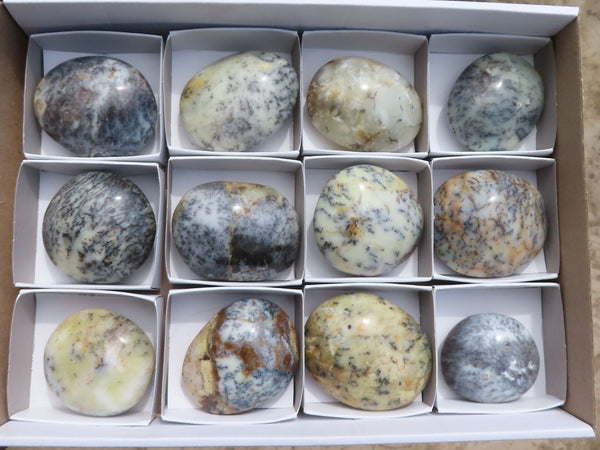 Polished Dendritic Opal Palm Stones  x 12 From Madagascar - TopRock