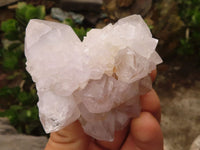 Natural White Spirit Cactus Quartz Clusters  x 6 From Boekenhouthoek, South Africa - Toprock Gemstones and Minerals