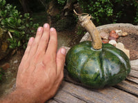 Polished Large Green Verdite Pumpkin Carving x 1 From Zimbabwe - TopRock