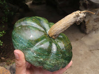Polished Large Green Verdite Pumpkin Carving x 1 From Zimbabwe - TopRock