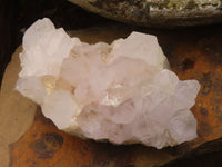 Natural White Spirit Cactus Quartz Clusters  x 6 From Boekenhouthoek, South Africa - Toprock Gemstones and Minerals