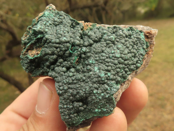 Natural Micro Botryoidal Crystalline Malachite Specimens  x 12 From Kolwezi, Congo - TopRock