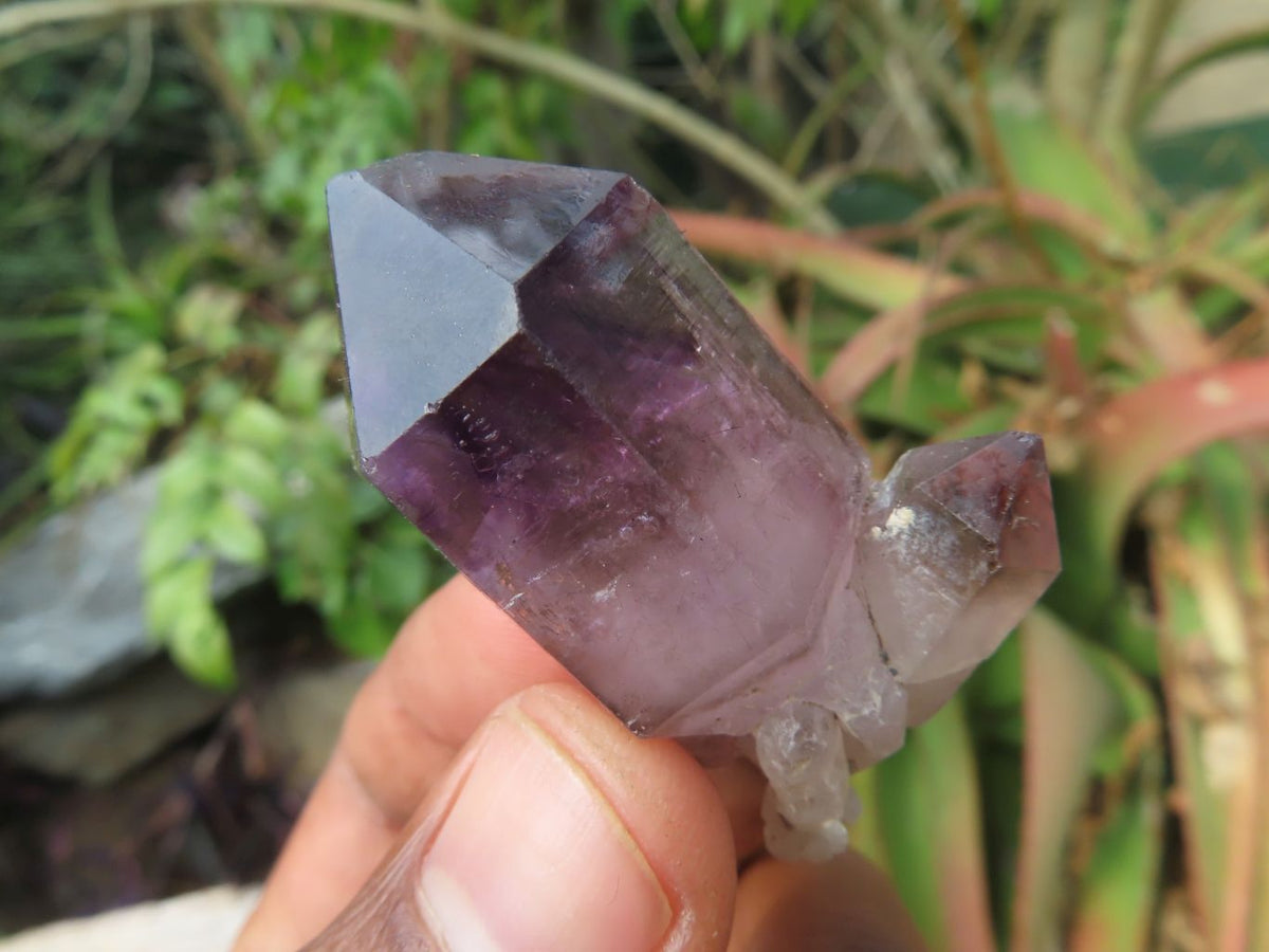 Natural Skeletal Sceptre & Window Smokey Amethyst Crystals x 35 From Chiredzi, Zimbabwe - TopRock