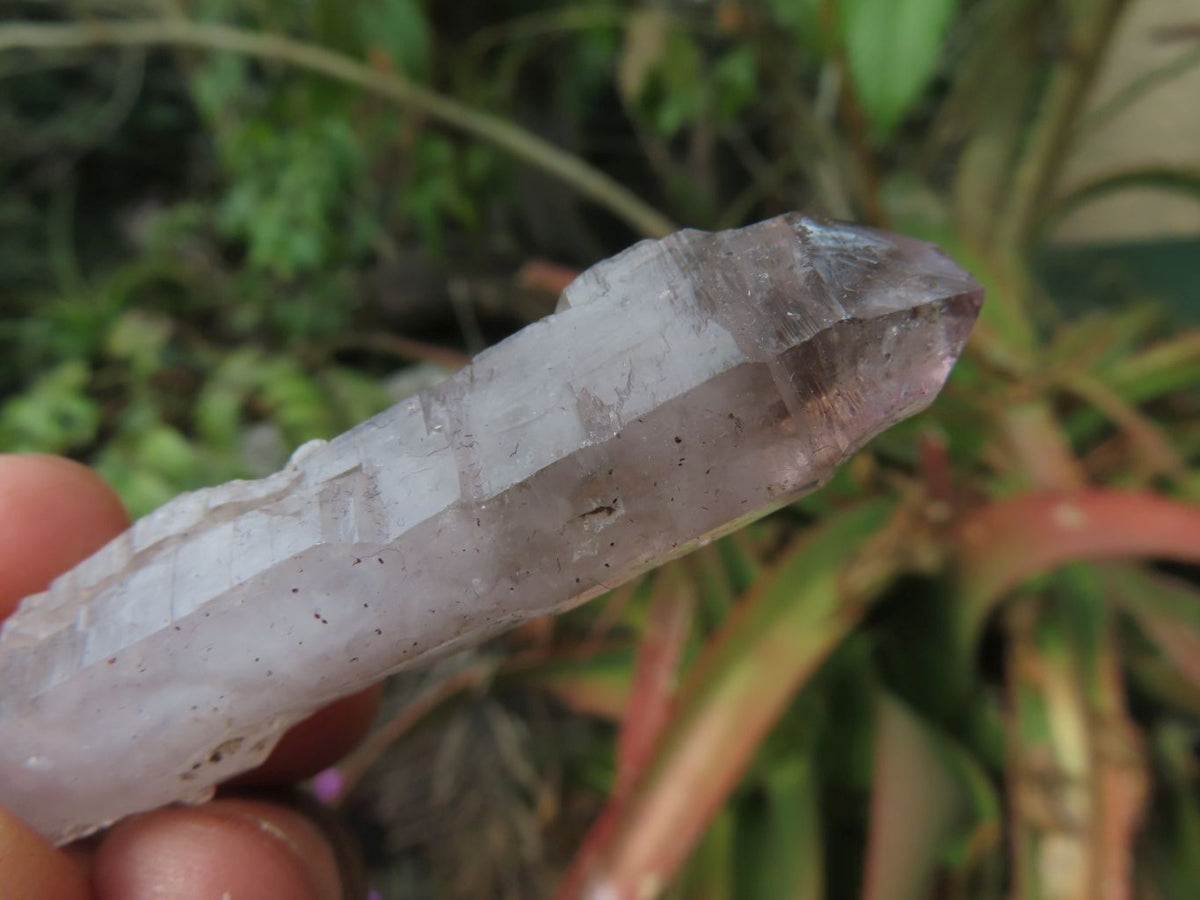 Natural Skeletal Sceptre & Window Smokey Amethyst Crystals x 35 From Chiredzi, Zimbabwe - TopRock
