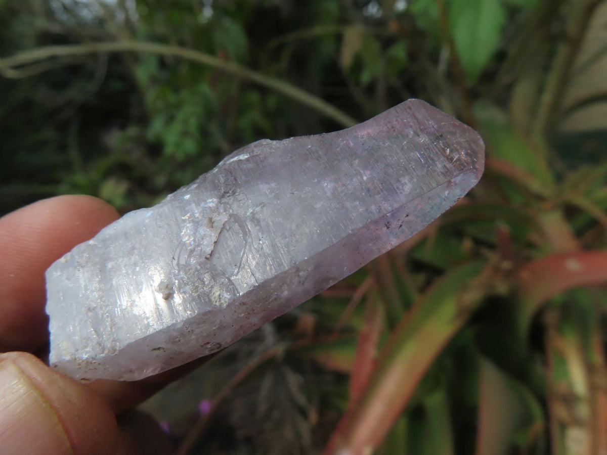 Natural Skeletal Sceptre & Window Smokey Amethyst Crystals x 35 From Chiredzi, Zimbabwe - TopRock