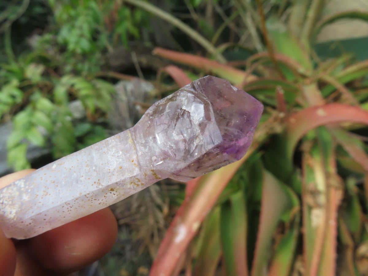 Natural Skeletal Sceptre & Window Smokey Amethyst Crystals x 35 From Chiredzi, Zimbabwe - TopRock