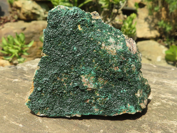 Natural Crystalline Micro Botryoidal Malachite Specimens  x 6 From Congo - TopRock
