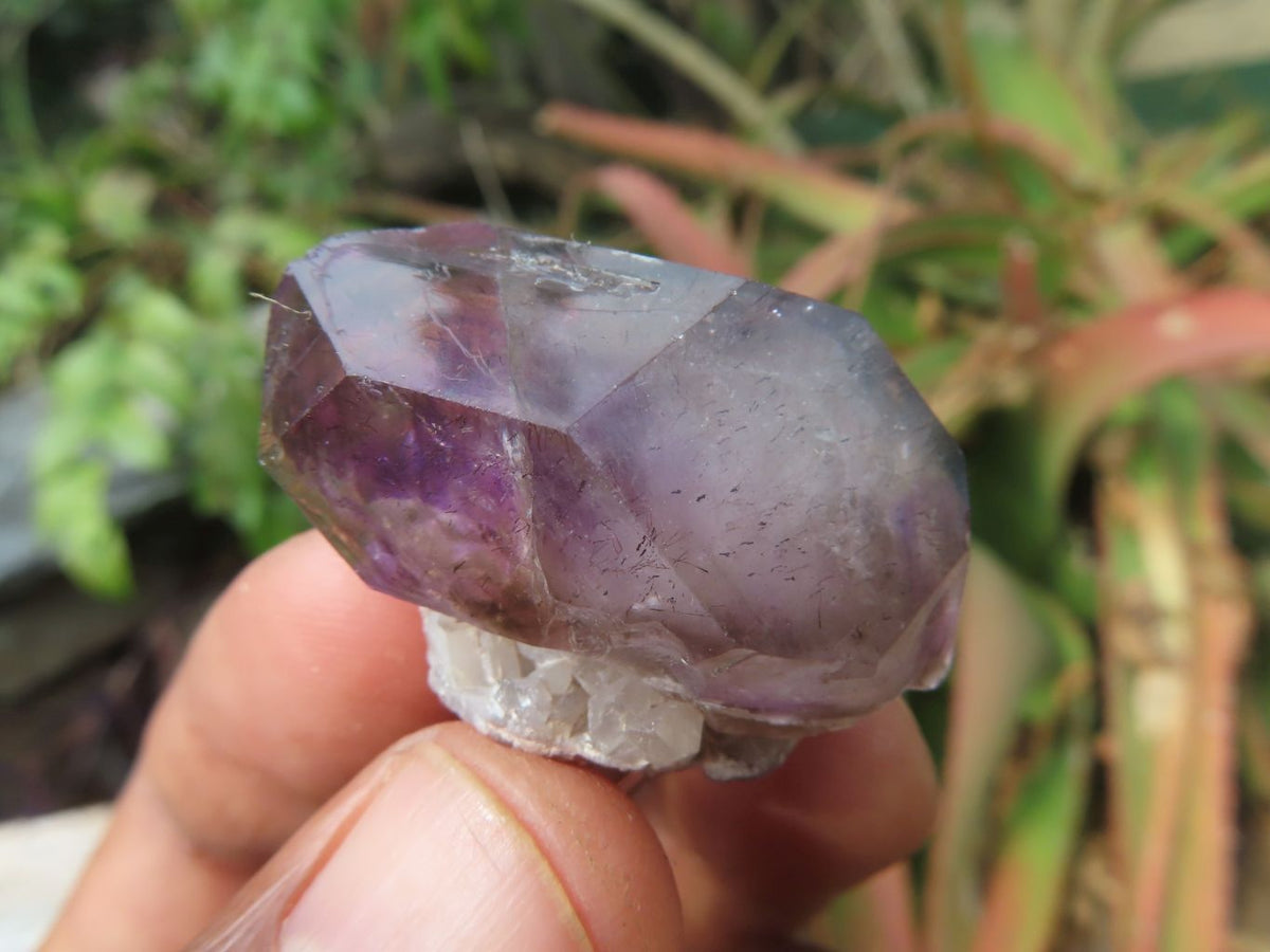 Natural Skeletal Sceptre & Window Smokey Amethyst Crystals x 35 From Chiredzi, Zimbabwe - TopRock