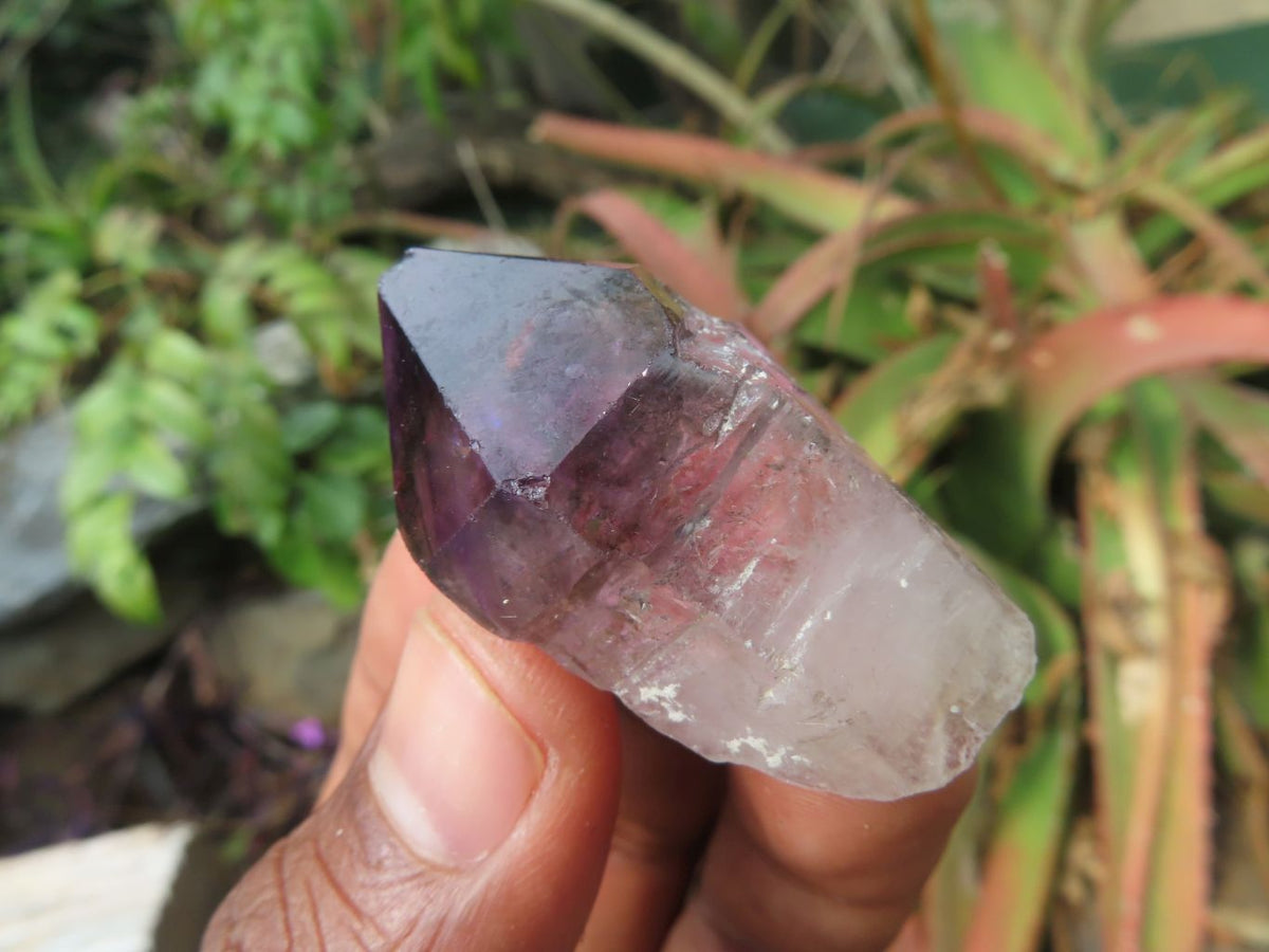 Natural Skeletal Sceptre & Window Smokey Amethyst Crystals x 35 From Chiredzi, Zimbabwe - TopRock