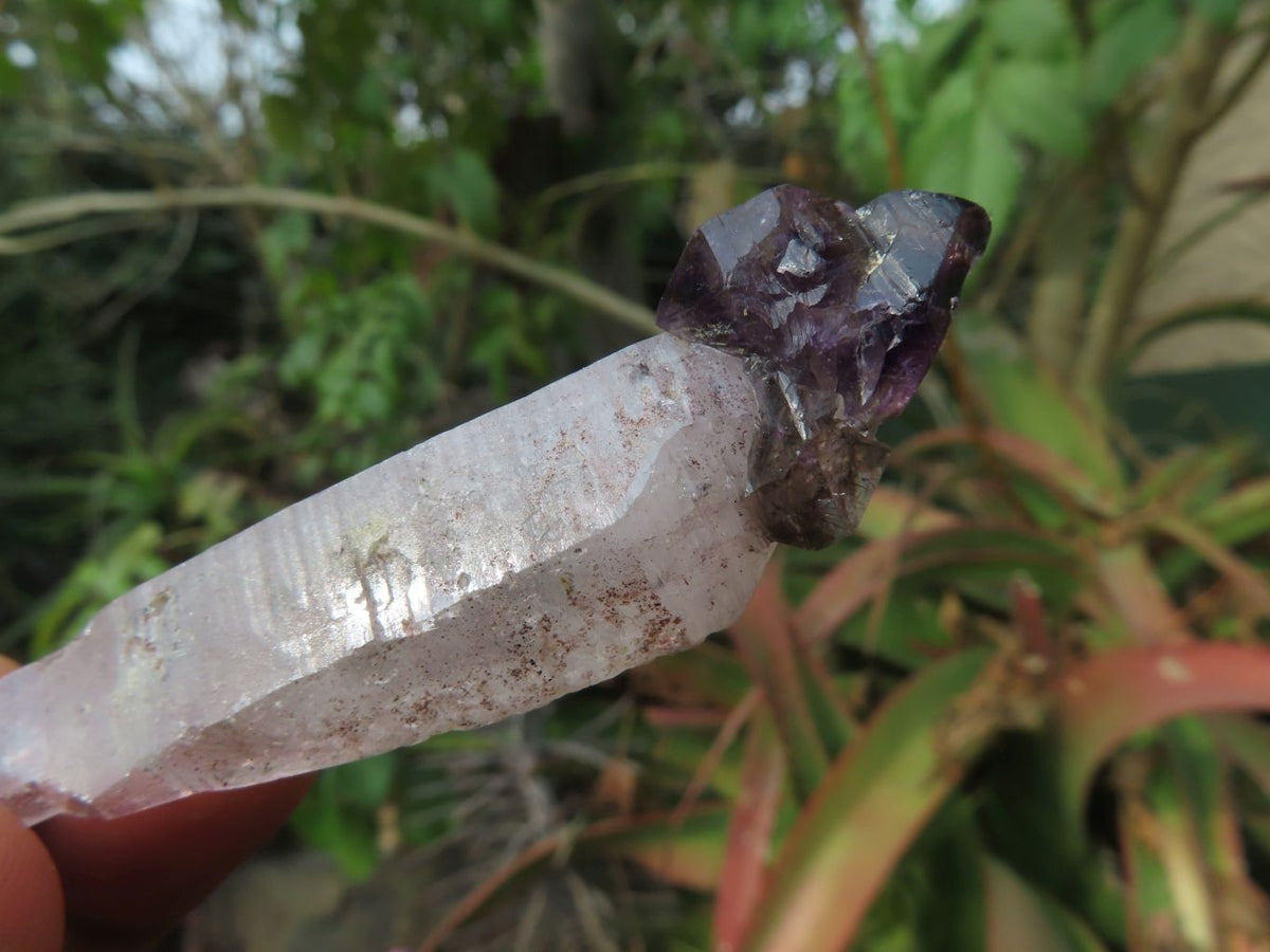 Natural Skeletal Sceptre & Window Smokey Amethyst Crystals x 35 From Chiredzi, Zimbabwe - TopRock