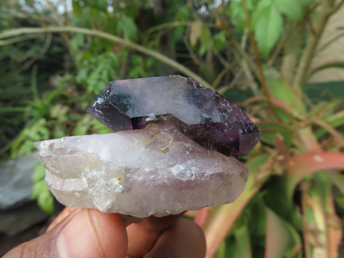 Natural Skeletal Sceptre & Window Smokey Amethyst Crystals x 35 From Chiredzi, Zimbabwe - TopRock