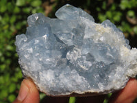 Natural Blue Celestite Crystal Specimens  x 5 From Sakoany, Madagascar - Toprock Gemstones and Minerals