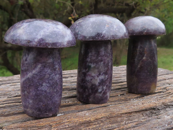 Polished Dark Stunning Purple Lepidolite Mushrooms  x 6 From Zimbabwe - TopRock