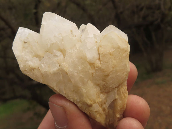 Natural Small Selected White Quartz Clusters  x 12 From Mandrosonoro, Madagascar - TopRock