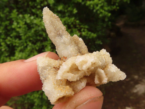 Natural Drusy Quartz Coated Pseudomorph Crystals  x 71 From Alberts Mountain, Lesotho