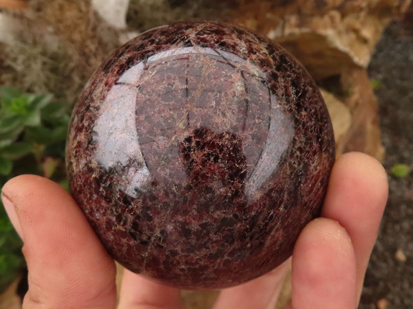 Polished Red Pyrope Garnet Spheres  x 2 From Madagascar - TopRock