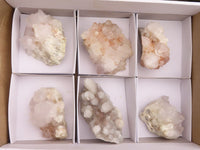 Natural White Spirit Cactus Quartz Clusters  x 6 From Boekenhouthoek, South Africa - Toprock Gemstones and Minerals