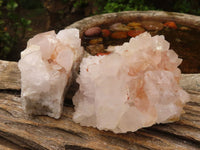 Natural White Spirit Cactus Quartz Clusters  x 6 From Boekenhouthoek, South Africa - Toprock Gemstones and Minerals