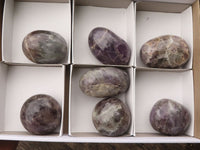 Polished Large Amethyst Palm Stones  x 7 From Madagascar - TopRock