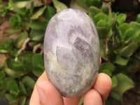 Polished Large Amethyst Palm Stones  x 7 From Madagascar - TopRock