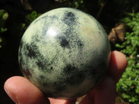 Polished Green Leopard Stone Spheres  x 3 From Zimbabwe - Toprock Gemstones and Minerals