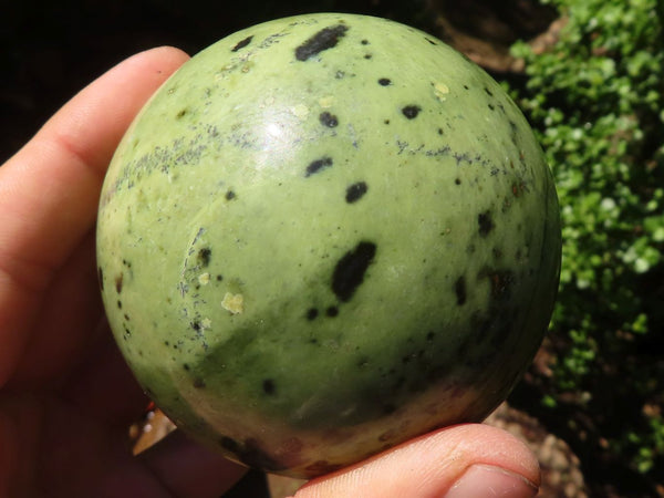 Polished Green Leopard Stone Spheres  x 3 From Zimbabwe - Toprock Gemstones and Minerals 