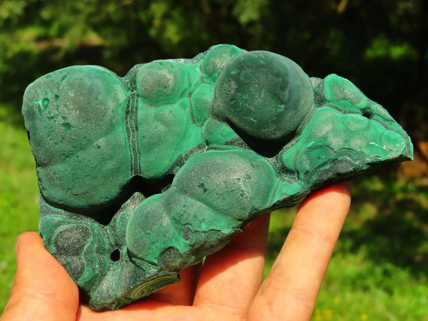 Natural Etched Botryoidal Malachite Specimens x 3 From Kolwezi, Congo - TopRock