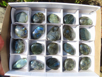 Polished Flashy Labradorite Palm Stones  x 20 From Tulear, Madagascar - Toprock Gemstones and Minerals