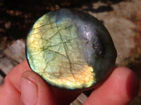 Polished Flashy Labradorite Palm Stones  x 20 From Tulear, Madagascar - Toprock Gemstones and Minerals