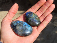 Polished Flashy Labradorite Palm Stones  x 20 From Tulear, Madagascar - Toprock Gemstones and Minerals
