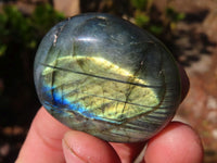 Polished Flashy Labradorite Palm Stones  x 20 From Tulear, Madagascar - Toprock Gemstones and Minerals