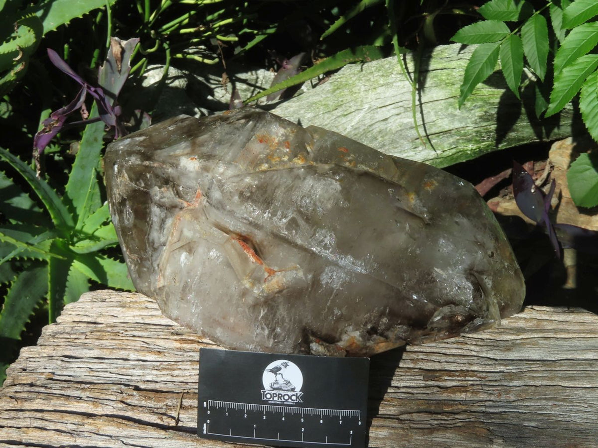 Polished Extra Large Double Terminated Smokey Window Quartz Crystal x 1 From Akansobe, Madagascar - TopRock