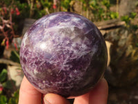Polished  Purple Lepidolite Spheres  x 3 From Madagascar - Toprock Gemstones and Minerals